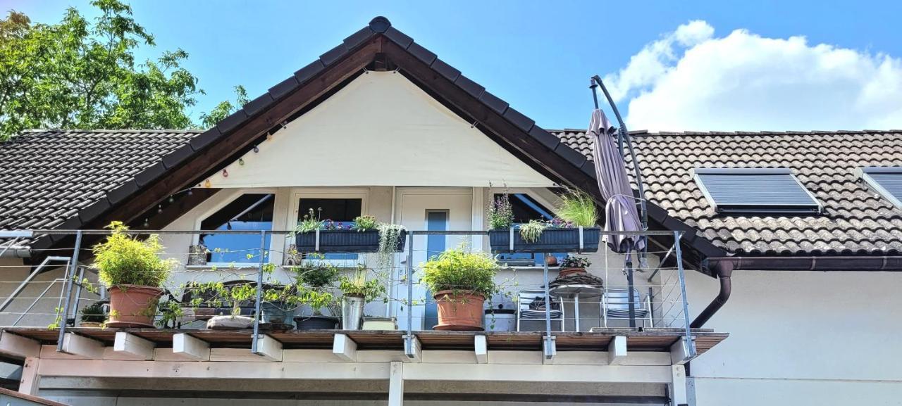 Appartement Schwarzwaldliebe Neuried 20 Min Zum Europa Park Neuried (Baden-Wurttemberg)